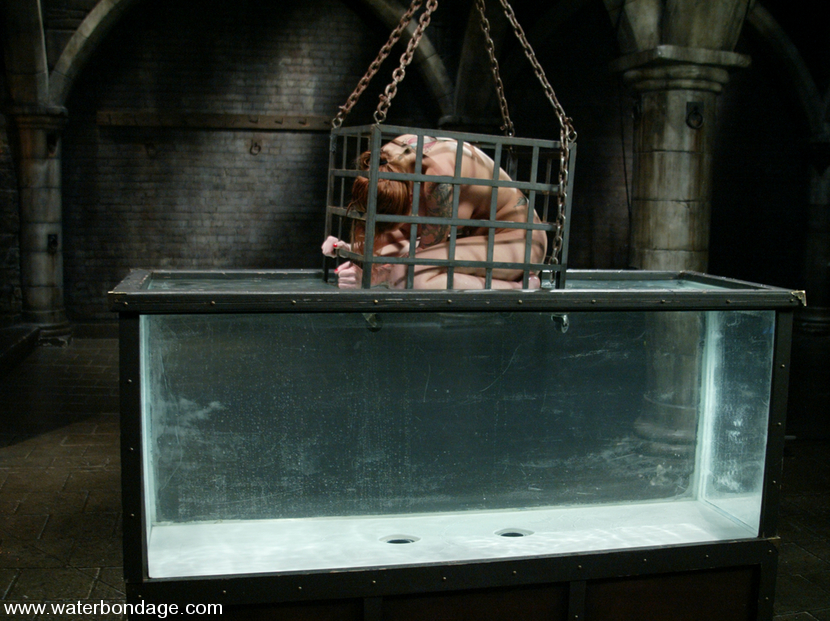 Free Porn Samples Of Water Bondage Variety Aquatic BDSM Fetish Free Porn Samples Of Water Bondage Variety Aquatic BDSM Fetish
