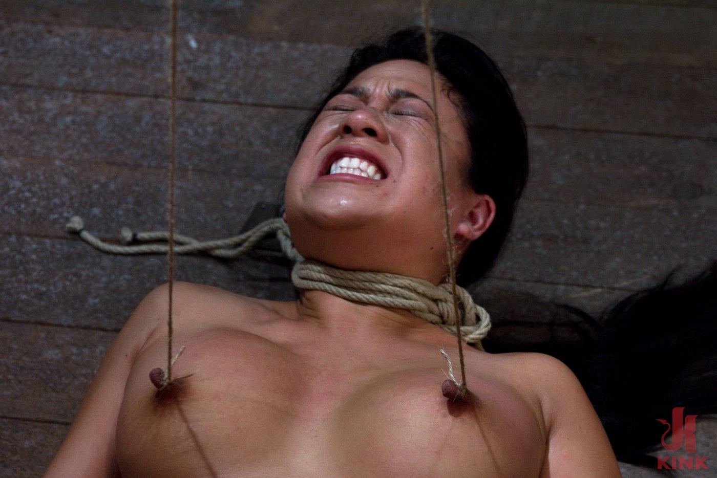Photo number 6 from Tied and Stretch Huge Nipples Brutal Squirting Orgasms Screaming Never Sounded so Good shot for Hogtied on Kink.com. Featuring Kayme Kai in hardcore BDSM & Fetish porn.