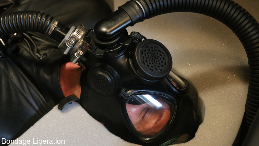 When Elise Met Strange Hobbies