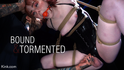 Bound and Tormented: Ella Hollywood's First Suspension