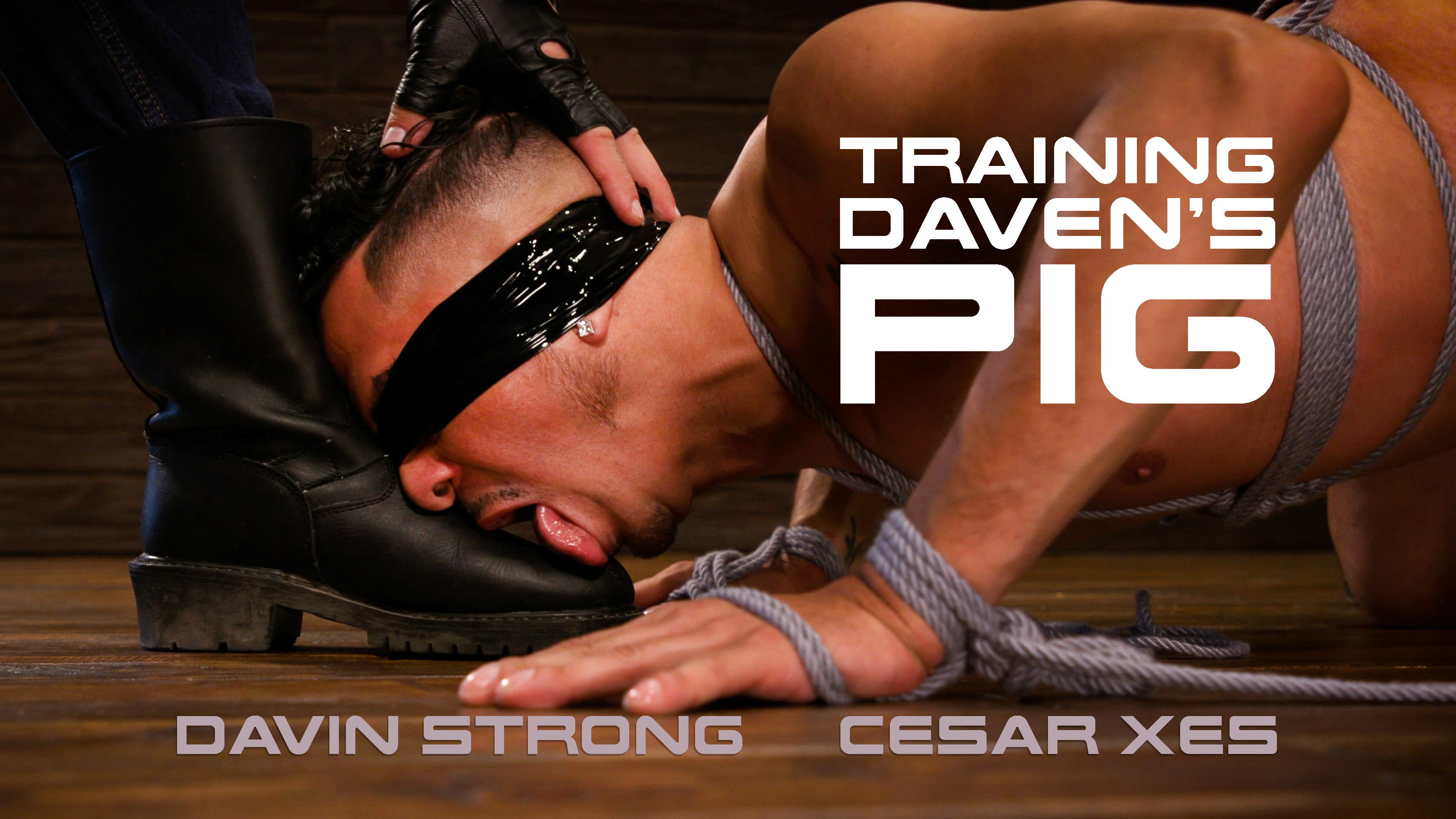 Training Davin's Pig - Raw