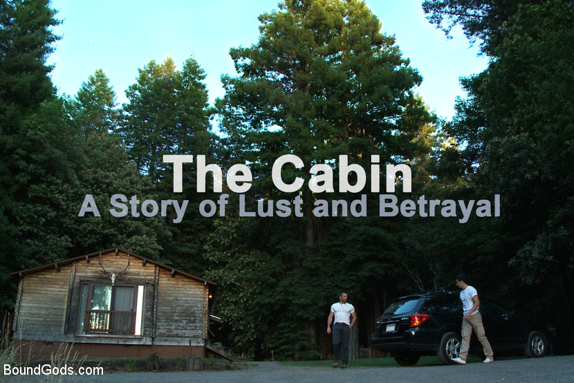 The Cabin Series #3 - the Story of Lust and Betrayal