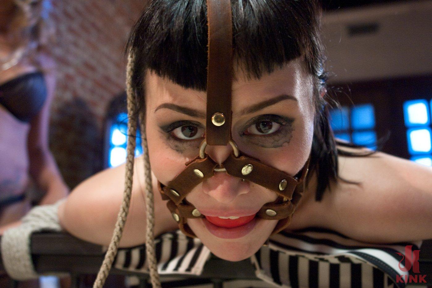 Photo number 5 from Cuckold Done The Lesbian Way! shot for Whipped Ass on Kink.com. Featuring Felony, Katharine Cane and Gia DiMarco in hardcore BDSM & Fetish porn.