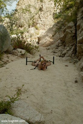 Photo number 9 from Cabo, the Return. Part 6 shot for Hogtied on Kink.com. Featuring Dee Williams, Sgt. Major, Jenni Lee, Princess Donna Dolore and Jenya in hardcore BDSM & Fetish porn.