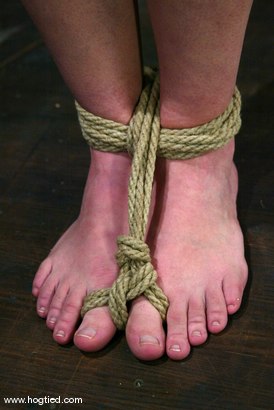 Photo number 13 from Darling shot for Hogtied on Kink.com. Featuring Dee Williams in hardcore BDSM & Fetish porn.