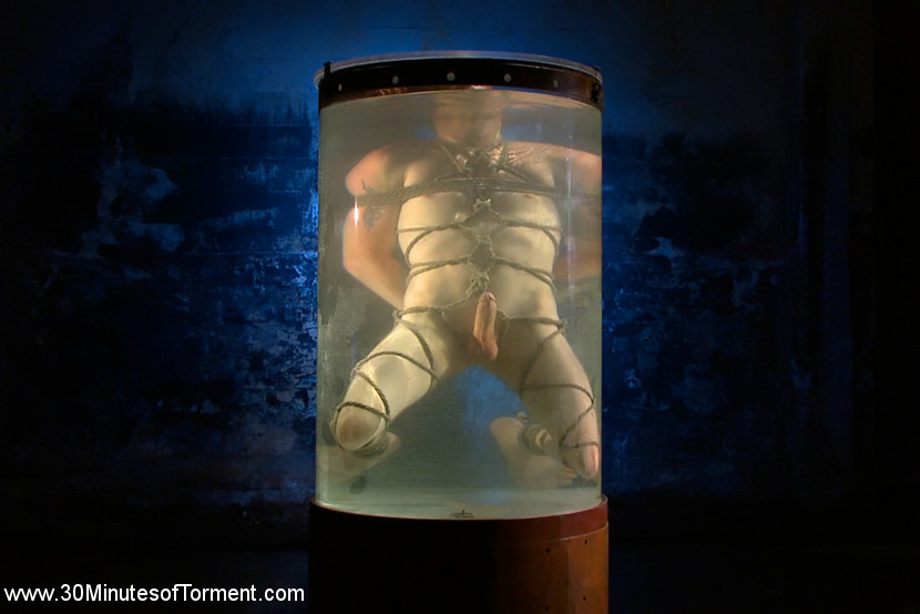 Head Buzzed, Ass Stretched and Water Tormented to the Extreme