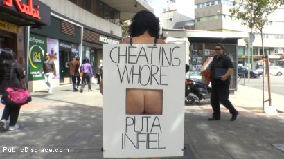 Public Big Ass Display