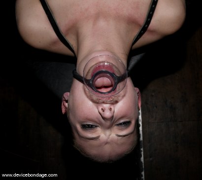 Photo number 12 from Fragments I shot for Device Bondage on Kink.com. Featuring Hailey Young in hardcore BDSM & Fetish porn.