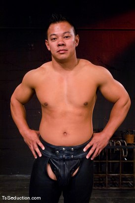 Photo number 2 from The New Pet shot for TS Seduction on Kink.com. Featuring Ariel Everitts and Aaron Lee in hardcore BDSM & Fetish porn.