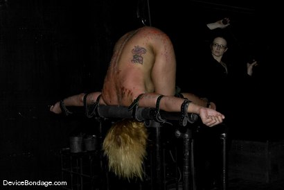 Photo number 10 from Bonus Update:  Part 2 of the Nov live feed shot for Device Bondage on Kink.com. Featuring Claire Adams, Sara Faye and Elyse in hardcore BDSM & Fetish porn.