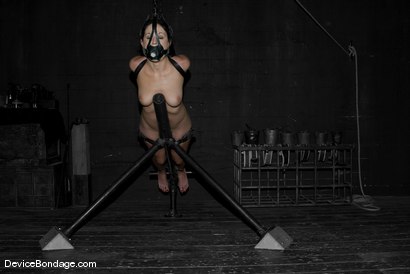 Photo number 10 from Bella Rossi shot for Device Bondage on Kink.com. Featuring Bella Rossi in hardcore BDSM & Fetish porn.